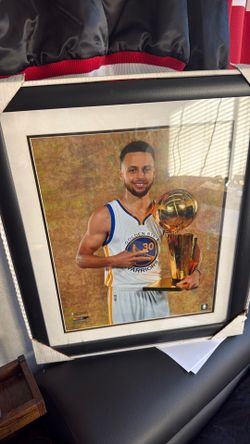 Stephen Curry picture 2017
