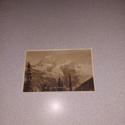 RARE VINTAGE 85. MT SIR DONALD UNUSED POSTCARD 