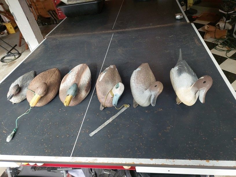 Flambeau Duck Decoys