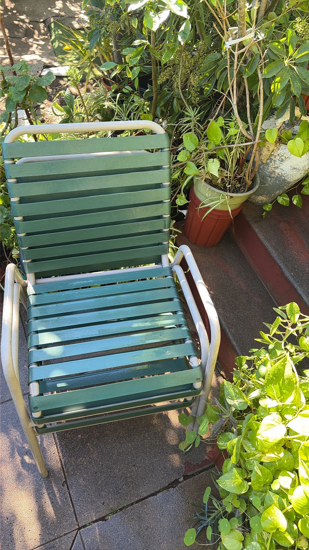 Patio Chairs