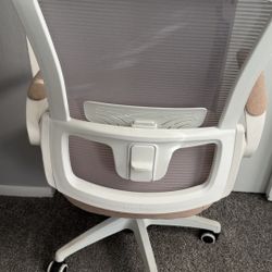 Sit And Stand Desk And Chair Combo