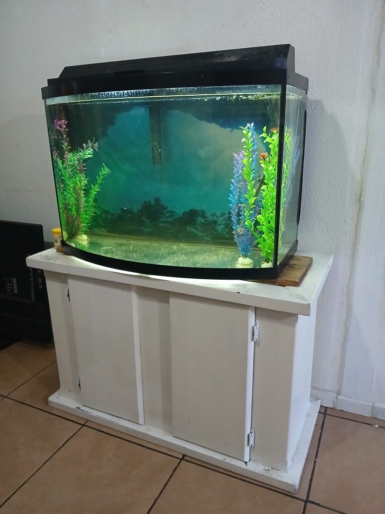 Fish Tank