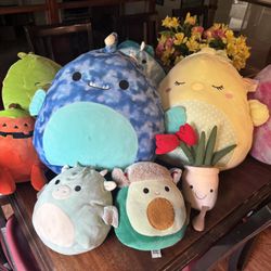 Squishmallows 