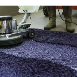 Deep clean carpet