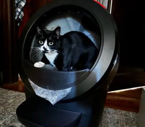 Litter robot 4