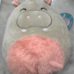 Squishmallows 8inch 