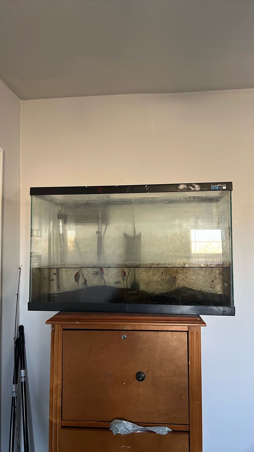 39 Gallon Fish Tank With Filte