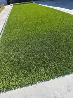 Turf
