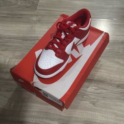 Nike Dunk Low SP 7.5 Women’s