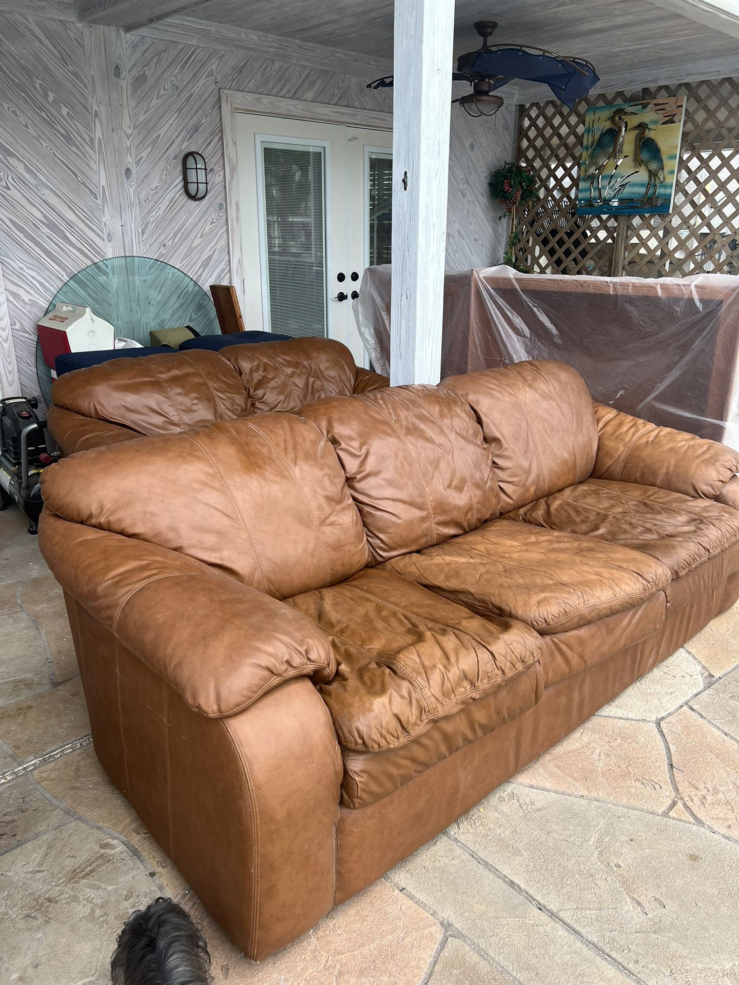 Leather Sleeper Sofa With Matching Live Seat