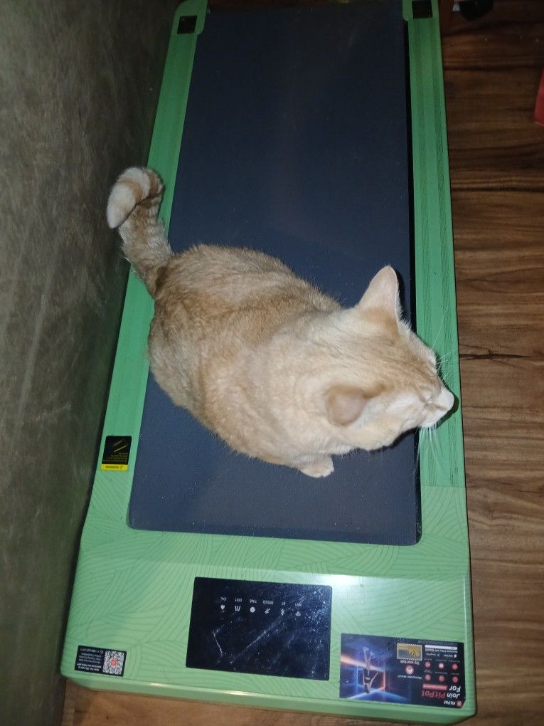 Treadmill
