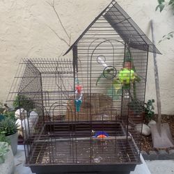 Bird Cage 