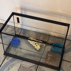 Fish Tank.