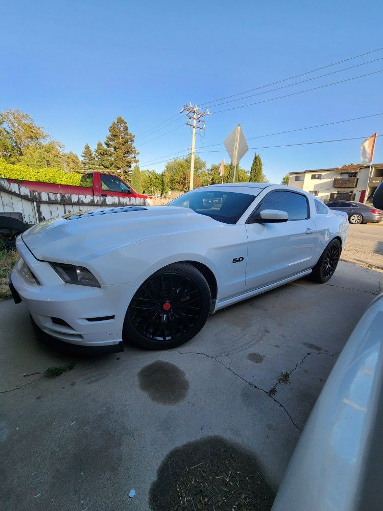 2014 Ford Mustang