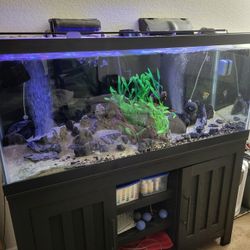 Aquarium 