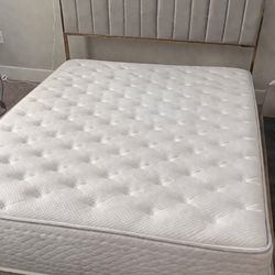 GREY & GOLD wave bed 🩶💛🩶💛🩶