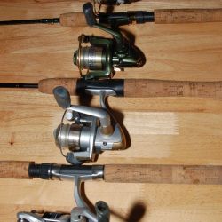 Family of 4 freshwater fishing rod set