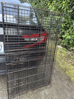 Large Dog Kennel