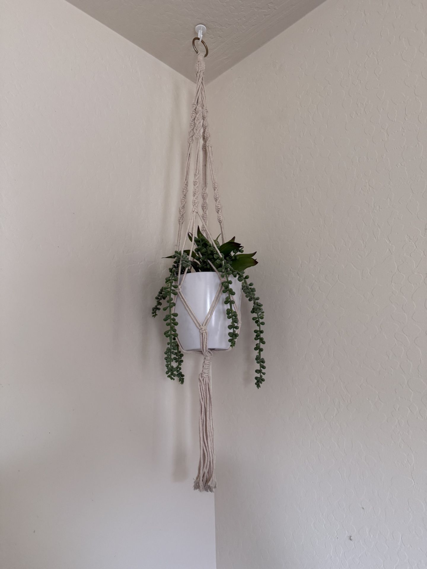 Fake Plant