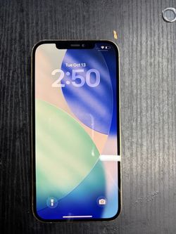 iPhone 12pro max