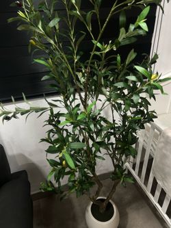 Faux Olive tree in Nice White Pot