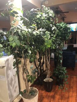 Faux Trees