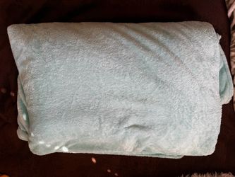 Free weighted blanket.