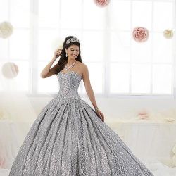 Quince XV Silver vestido