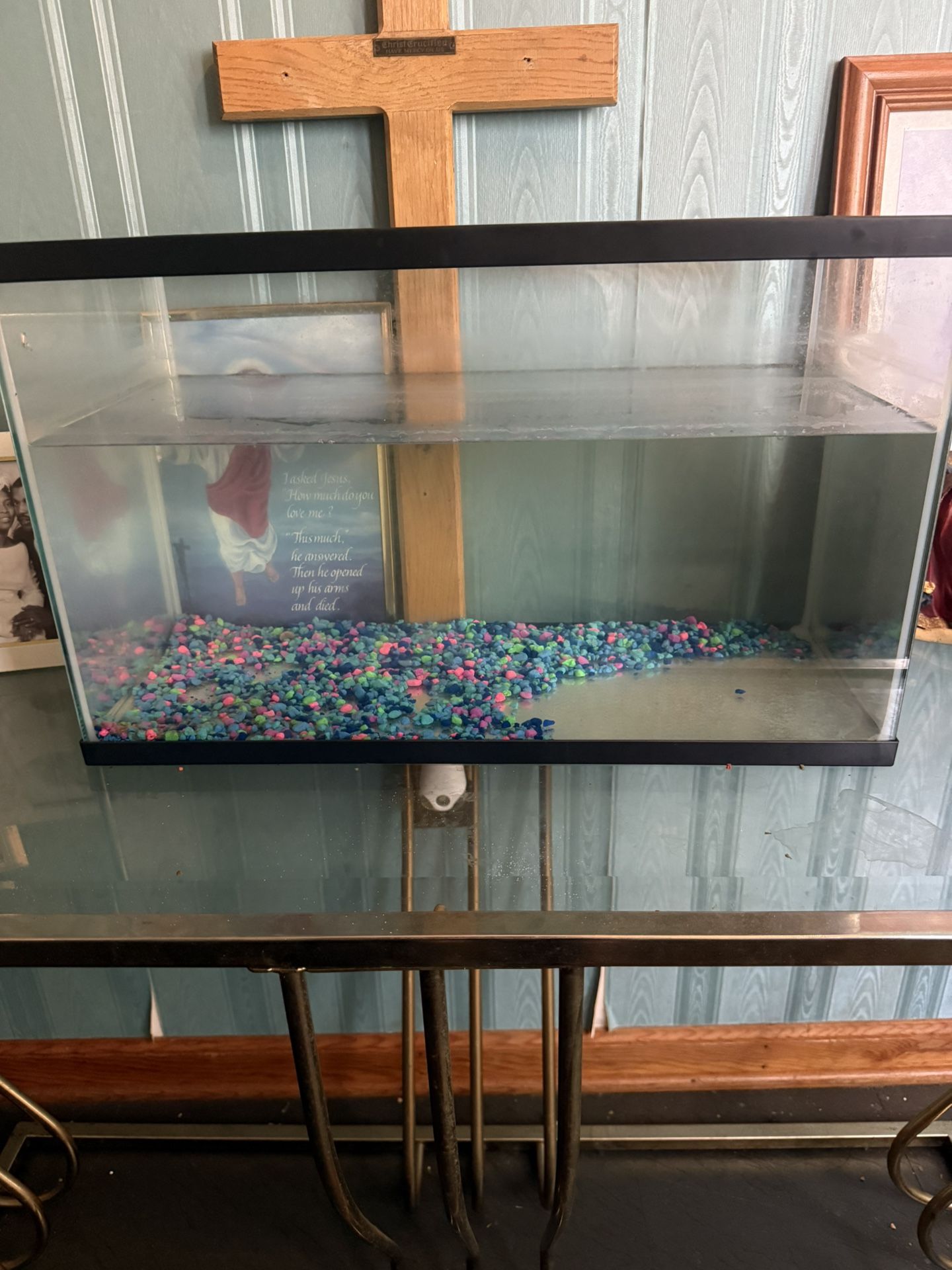 10 gal fish tank 