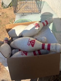 bowling pins perfect for target practice