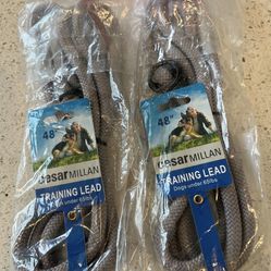 Cesar Millan Slip Lead Leash™ - 2-in-1 Slip Collar Dog Training Lead & Collar | Heavy Duty Durable Weatherproof Rope Leash, No Pull Training | Length 