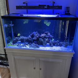 90g Tank & Stand 