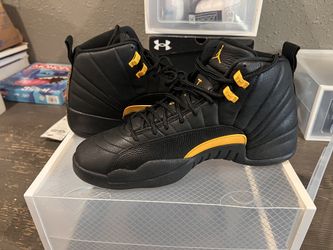 Air Jordan 12 men’s