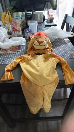 Lion King outfit for kids