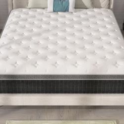 Brand New Queen Mattress
