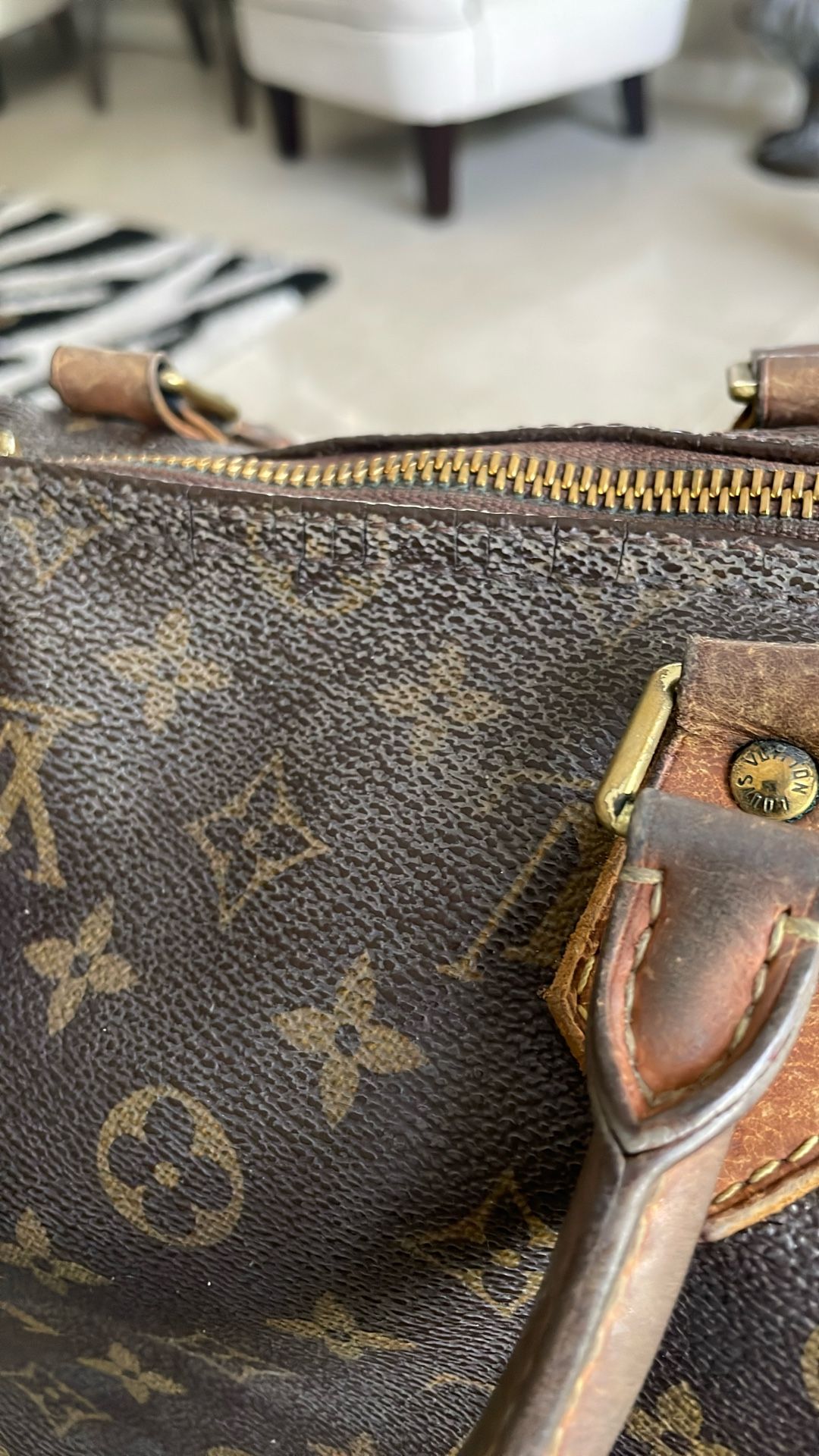 Louis Vuitton Speedy 30 Authentic Best Offer