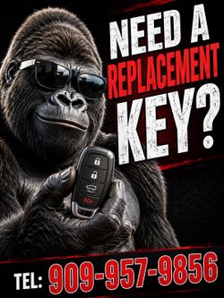 Car keys and remotes