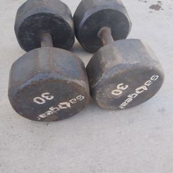 30lbs Dumbbells 
