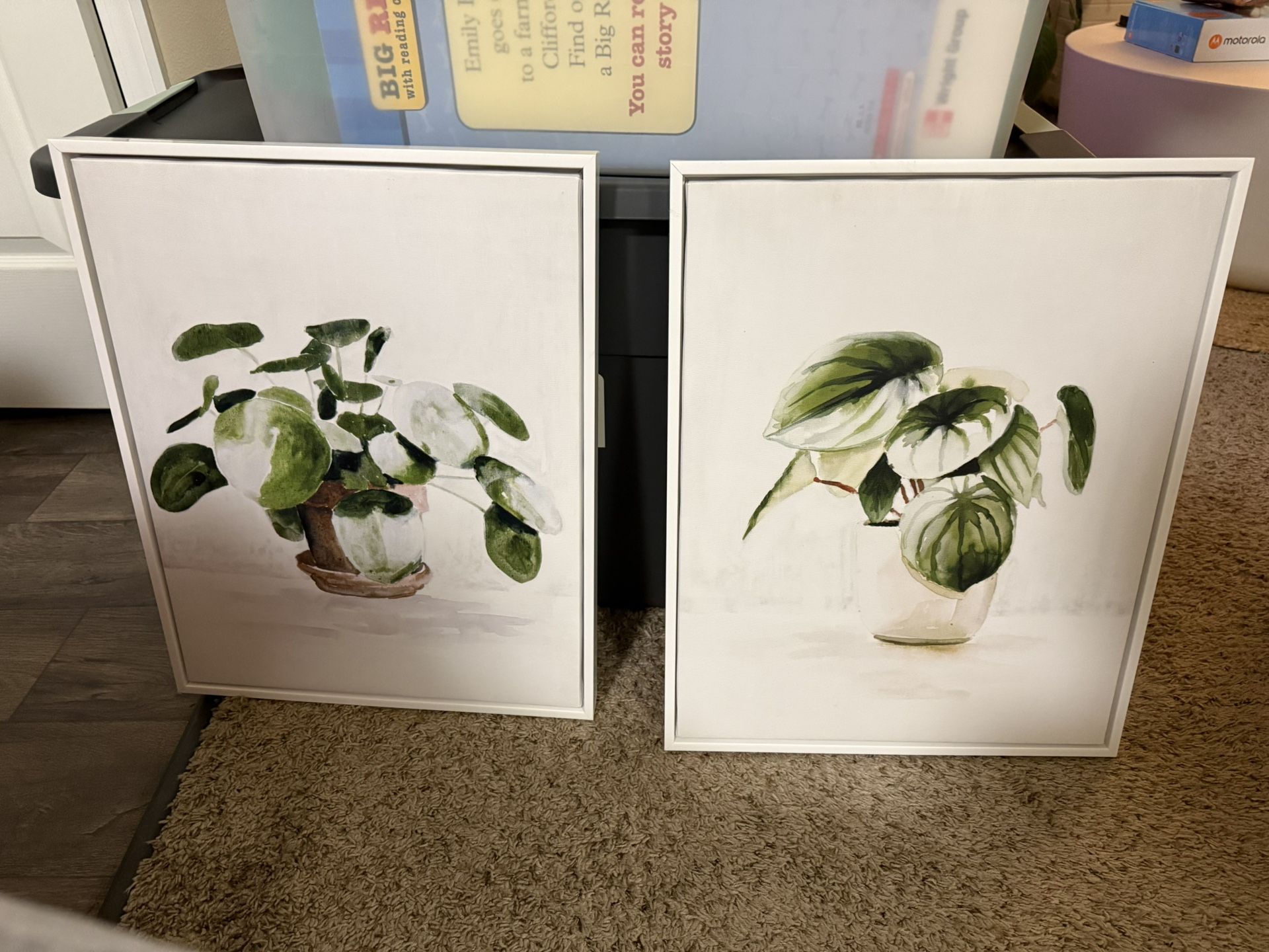 Plant Artwork