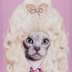 Country Cat Dolly Parton Art- Pets Rock