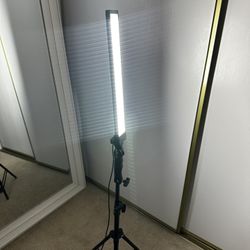 LED light 