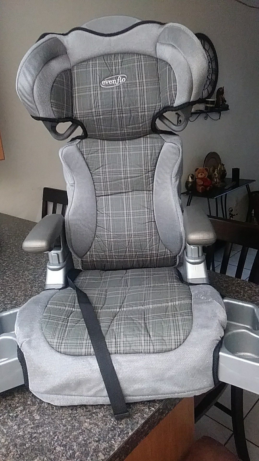 Grey evenflo booster seat