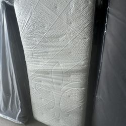 Stern & Foster 300.00 