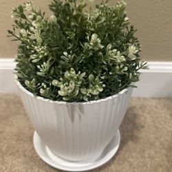 Home Decor