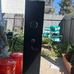 Gun Safe 