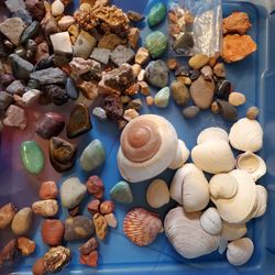 Stones And Shells 25