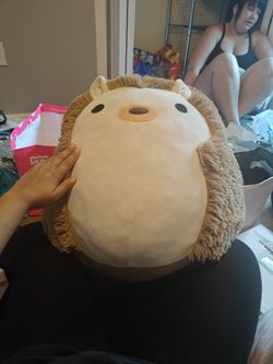 Extra Large Squishmallows Hedgehog