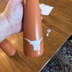 Texas Longhorn Sip Bottles