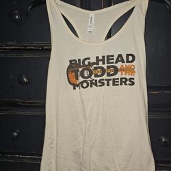 BIG HEAD TODD AND THE MONSTERS 