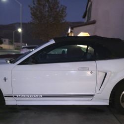 2000 Mustang 